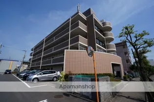 プラムディーセントの画像