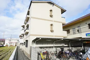 マプログレイスⅢの画像