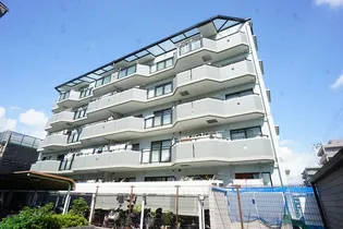 ボア ソルテの画像