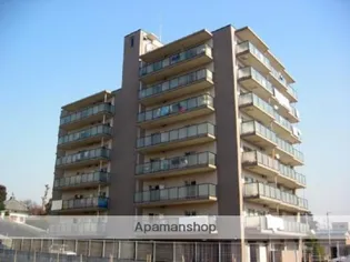 旭エルフの画像