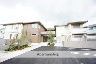 FELISEED PRUGNAの画像