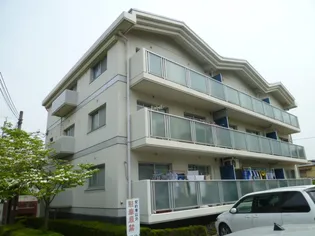 ゼンコウコーポラス6の画像