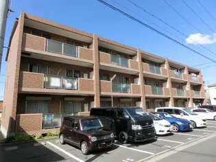 アムールカセイの画像