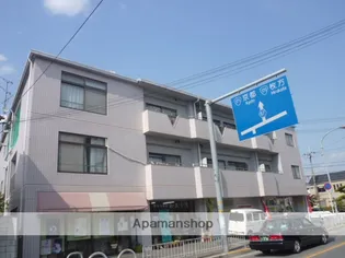 ラベンダー真上の画像