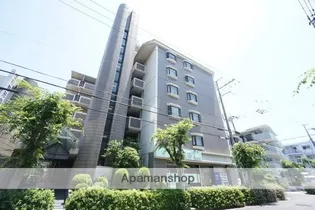 DIO花水木の画像