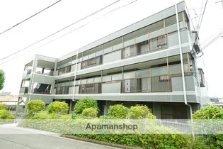 エクセル舞音の画像