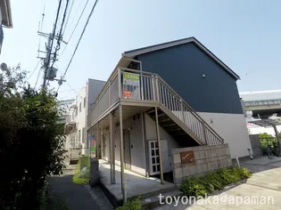 ジプソフィラの画像