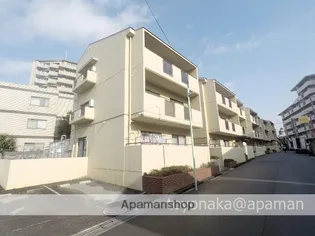 ピアチェーレの画像