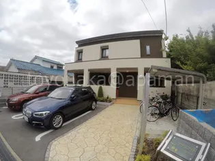 アプリコットの画像