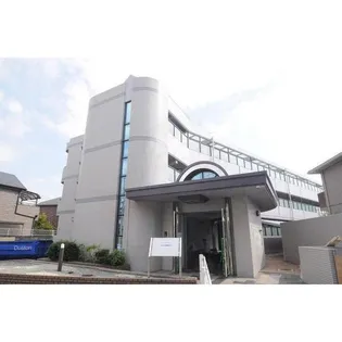 イトーミ グランデの画像