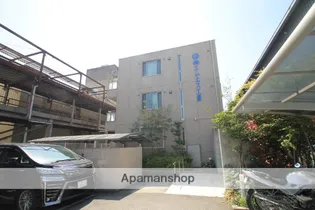 MS SHAMAISONの画像