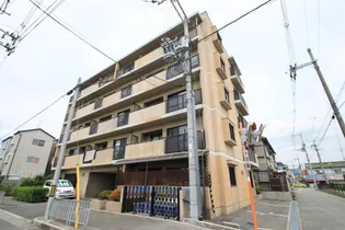 どりーむの画像