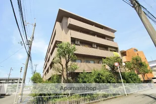 ドルフナガサワの画像