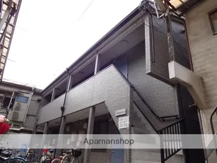 サントリナの画像