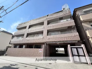 グリーンバーベナ 小林の画像