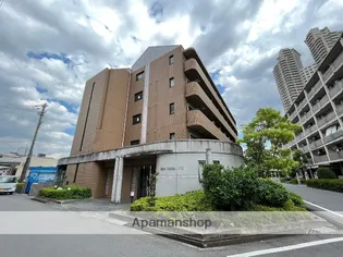 アペックス パラツィーナくずはの画像