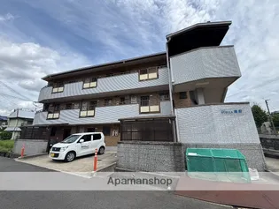 ステラ幾野の画像