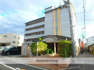 メイプルワンの画像