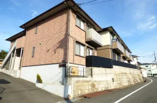 LA FENICE KOKITAの画像