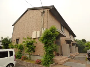 ヴェヌスタ郡津の画像