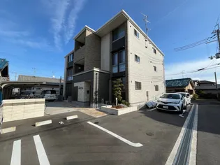 ハルカの画像