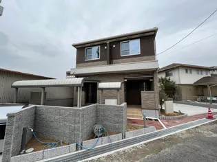 グリーンの画像