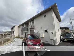 ドラセナの画像