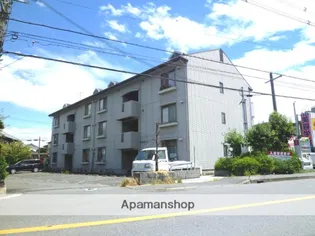 ヴァンベール91の画像