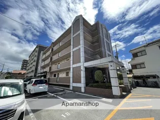 チェリーコートの画像