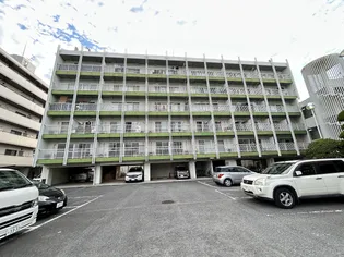 新栄プロパティー東大阪Ⅰ(旧グランドハイツクモン北館・南館)【2階】の外観