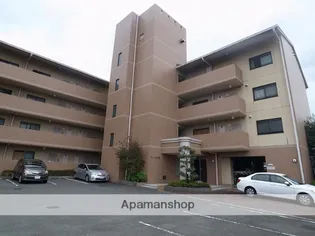 グレース深野の画像