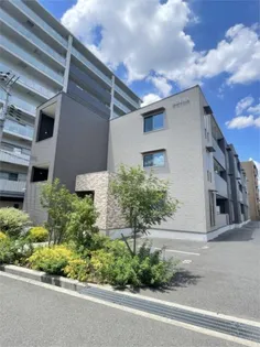 サクラシャインの画像