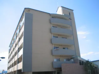 ヴィブレムライの画像