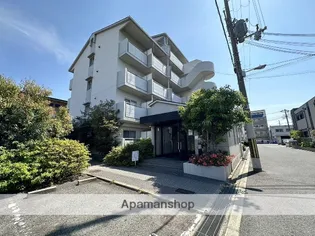 エクセルグリーンの画像