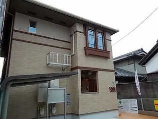 フィデール セブンの画像