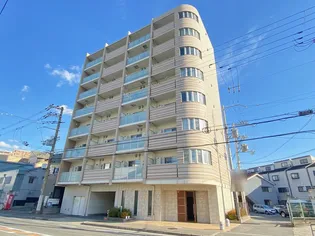 ELーSIA UMEKITAの画像