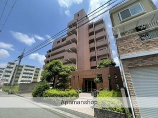 エスメラード ヒコの画像