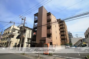 アミティエサンユキガワの画像