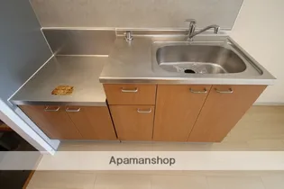 シャーメゾン藤【2階】のキッチン