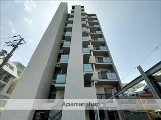 ブランカイズミの画像