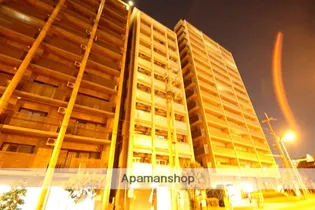 ドムスドイの画像