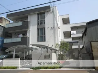 MAISON 91 STEYの画像