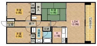 ソルプラーサ堺【1509号室】の間取り