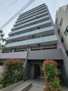 ソフィア Kの画像