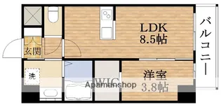 シスイル清水丘【5階】の間取り