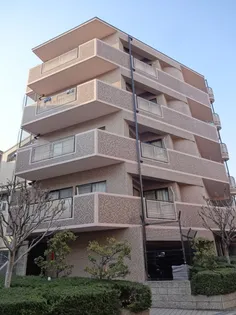 セディアコアロードの画像