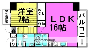 サンカトル【6階】の間取り