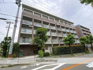 シプレスの画像