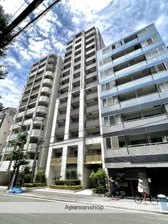 大阪府大阪市中央区南新町1丁目【マンション】の外観