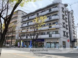 ツインコートヒラタの画像